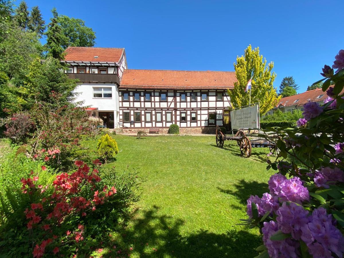 Hotel Pension Gelpkes Muehle Bad Sachsa Luaran gambar
